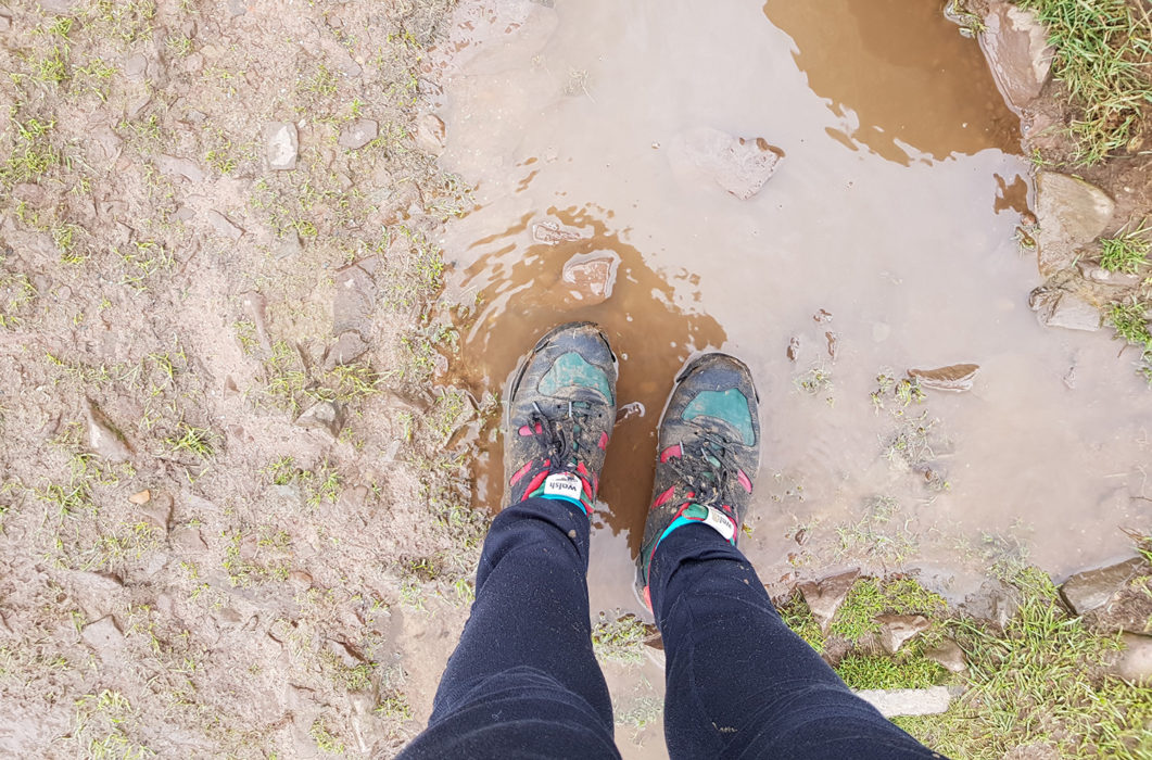 verity feet