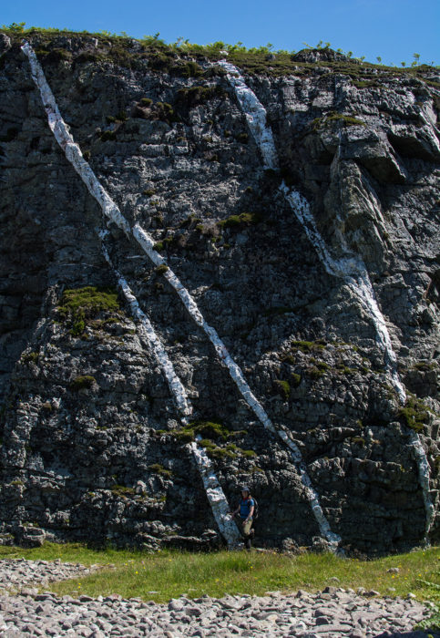 Quartz veins