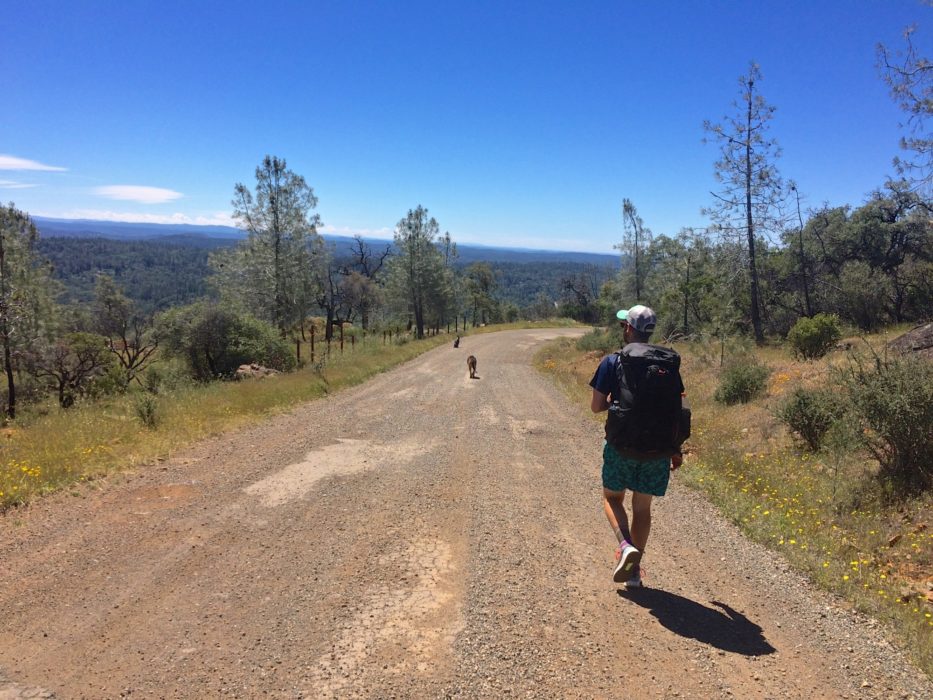 Dirt roads similar to this one seen on a training hike are a large part of the unfinished CDT. Dogs may or may not be included.
