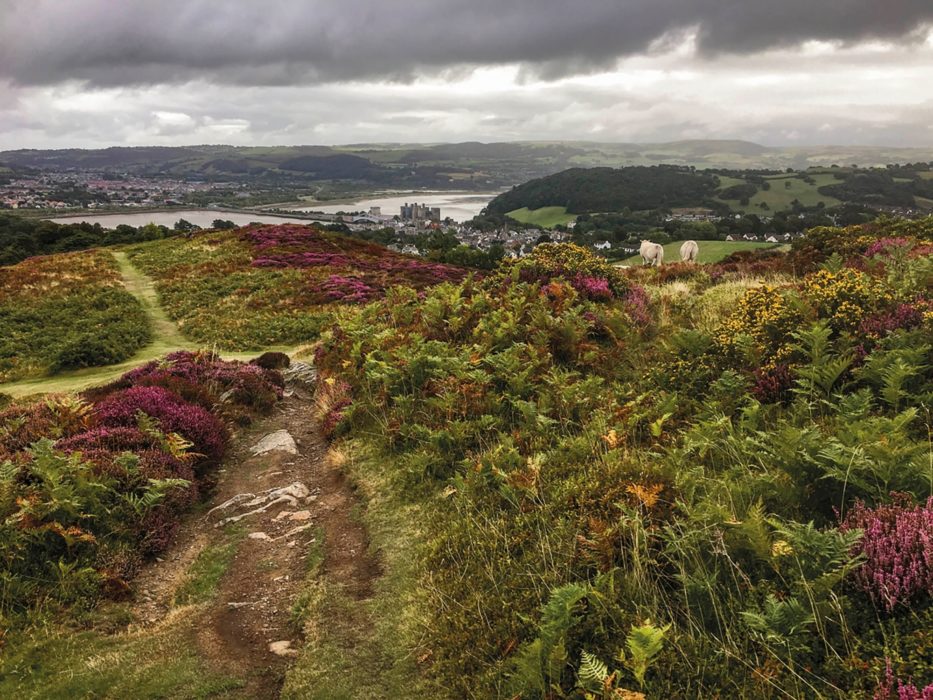 Conwy from Conwy Mountain (Stage 21)