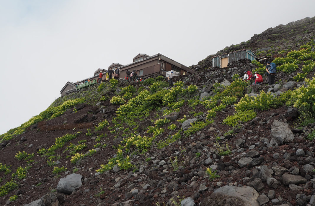 Mountain Hut And A Bit Of Greenery