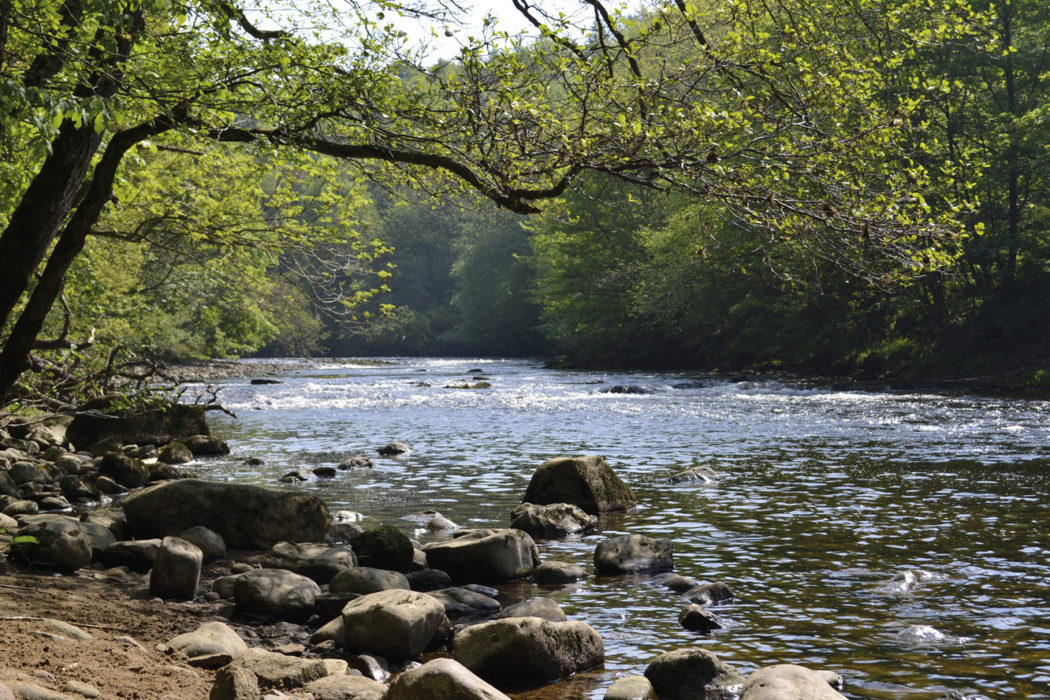 River Ure