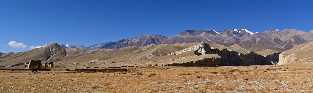 This frontier-country is sprinkled with old fortresses in all stages of decay.