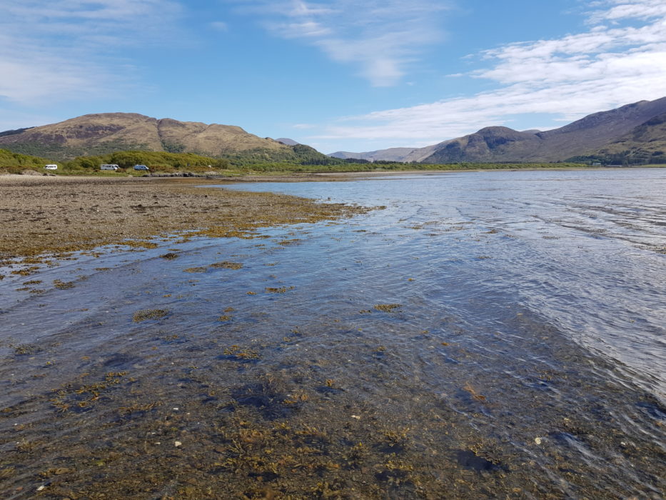 The shore of Loch Scridain on the west coast
