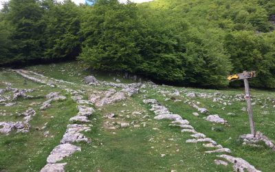 Roman road