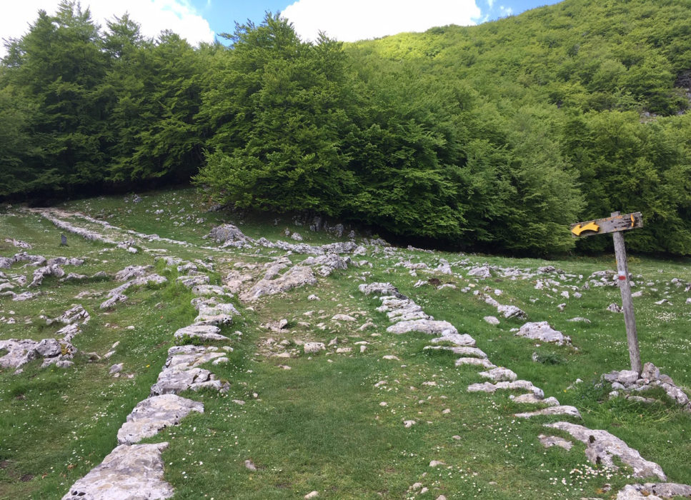 Roman road