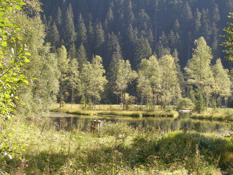 Ellbachsee
