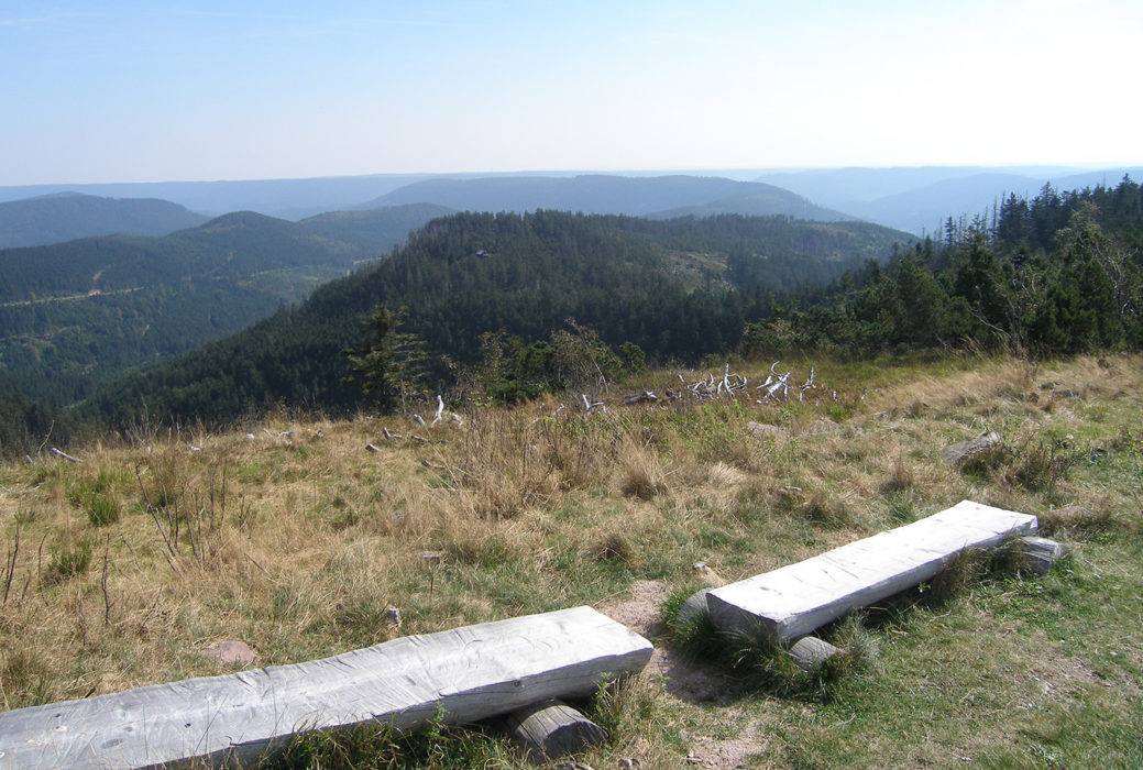 Hornisgrinde