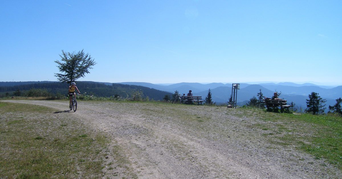 Panorama trail