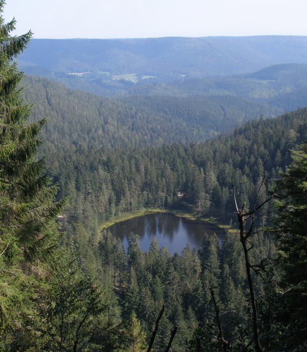 Schurmsee