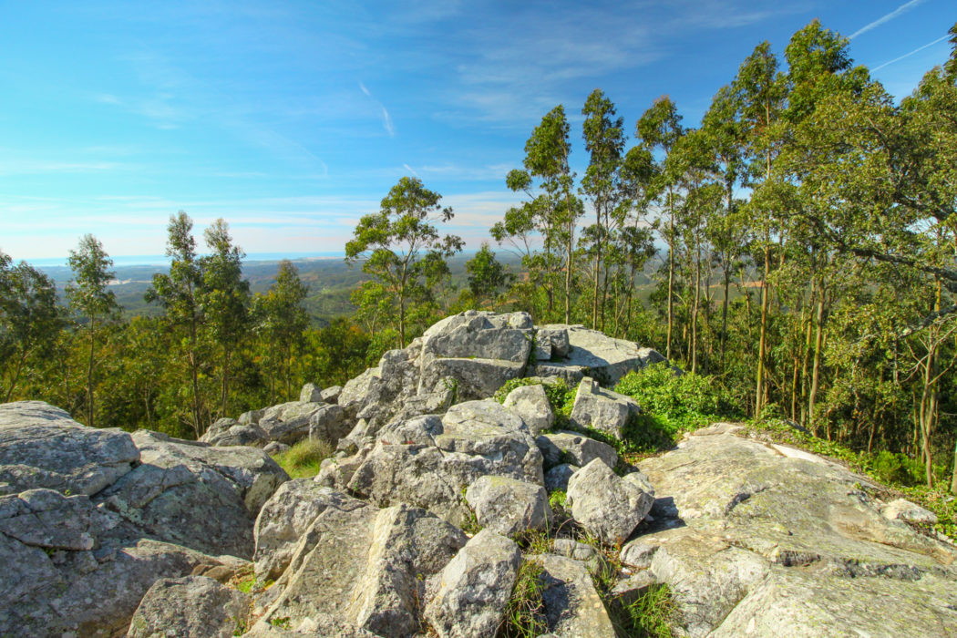 Great views from the top of Miradouro dos Picos