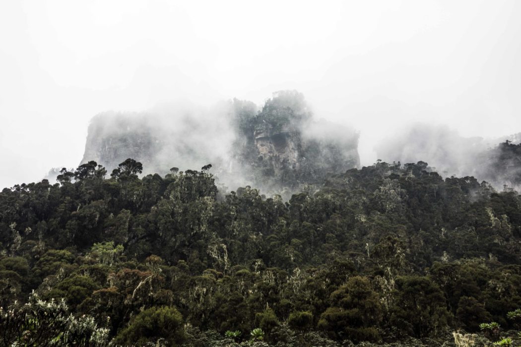 Stunning views from Mutinda Camp