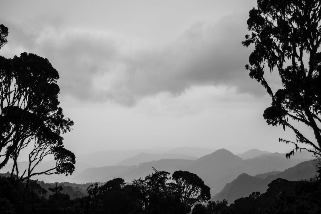 The foothills of the Rwenzori Mountains