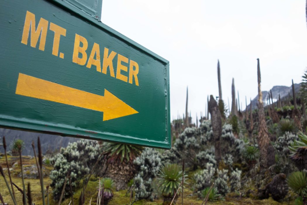The trailhead of Mount Baker (4843m)