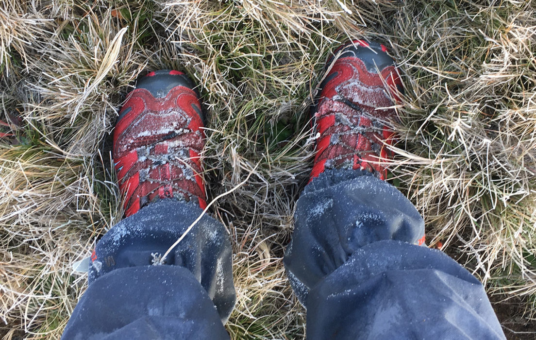 Frost