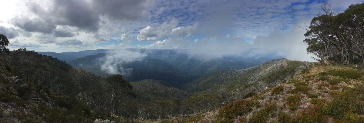 mountains