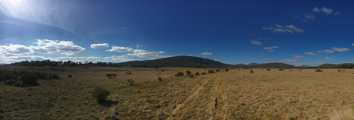 plains