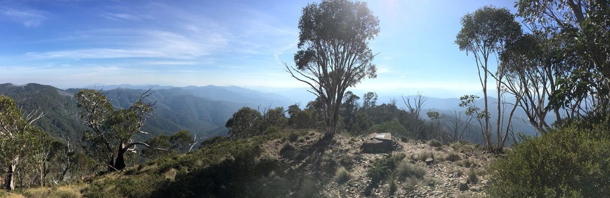view