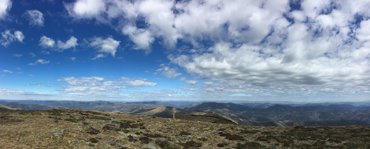 view2