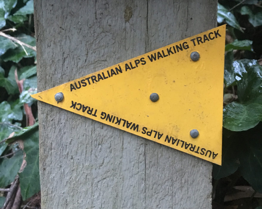 yellow triangle