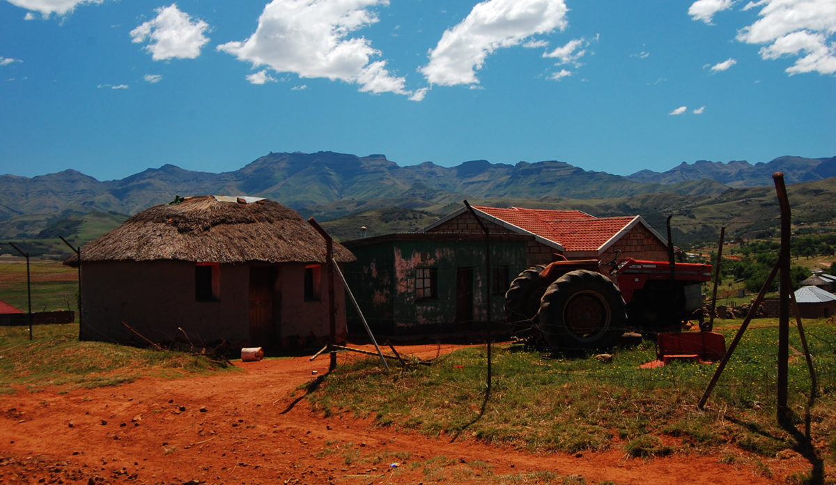 farm