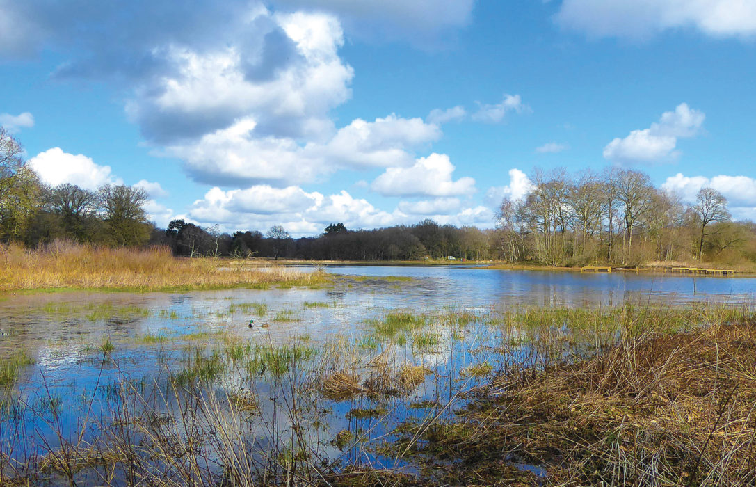The main lake at Brown Moss Nature Reserve.