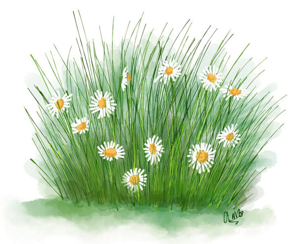 Daisy 2 Finding the Way