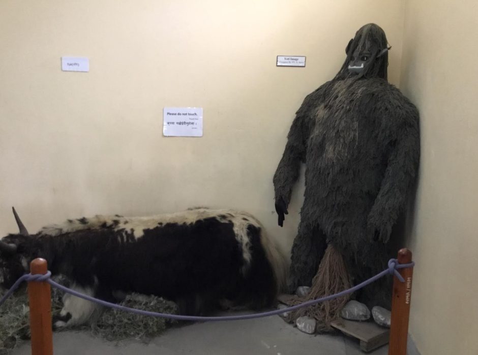 As much proof as Clare needs that the Yeti is real