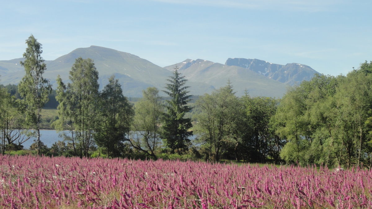 The Great Glen Way