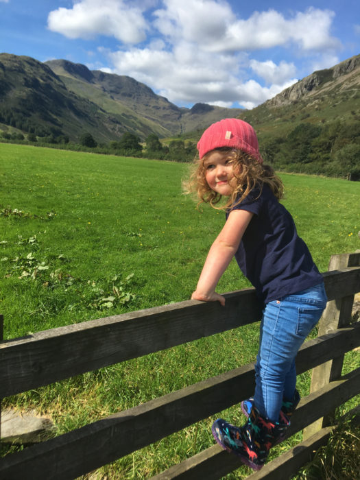 Mini-Lucy 2 trying to make friends with the sheep in Great Langdale