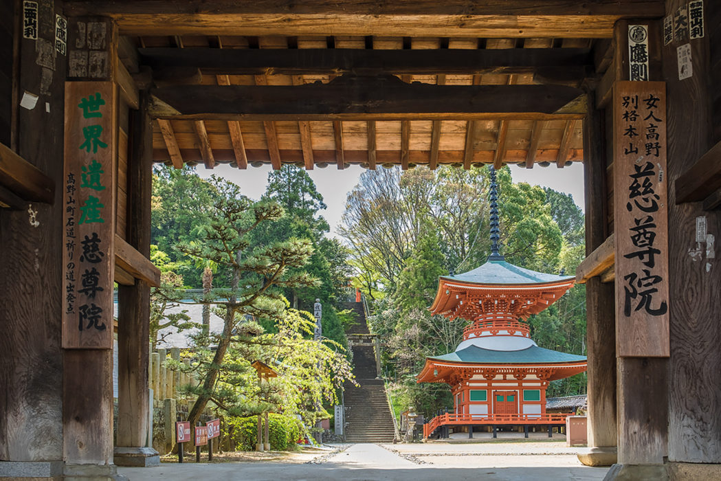 Japan's Kumano Kodo