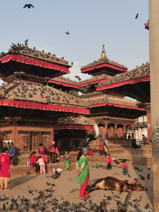 Calm and chaos in Durbar Square as a cow sleeps. It is illegal to kill cows in Nepal.