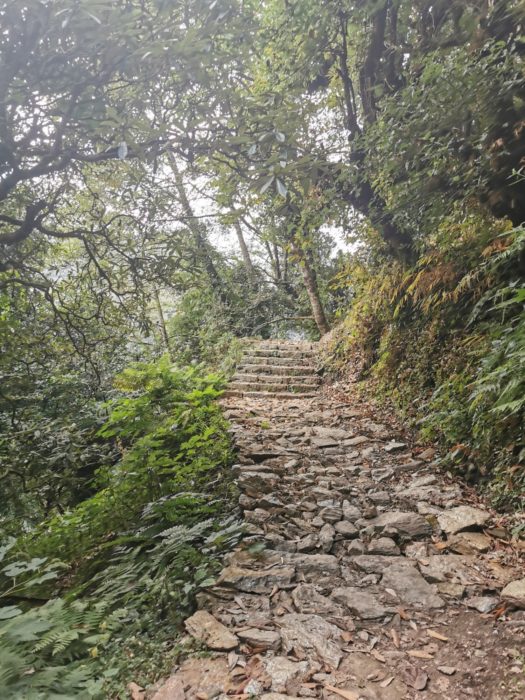 The beautiful track to Deurali