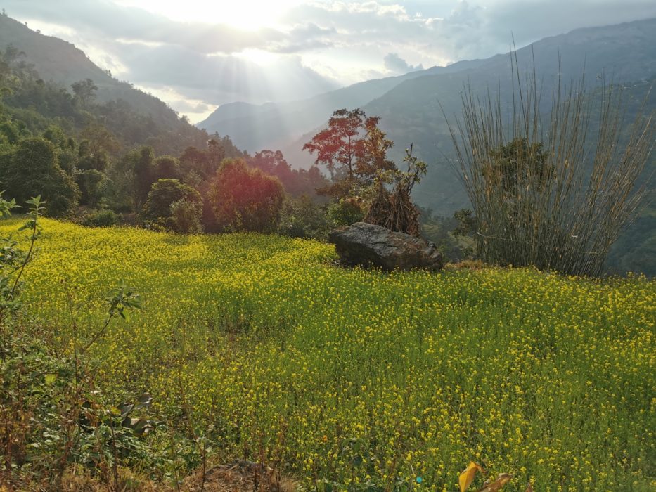 On the way to the campsite in Rawa Dolu