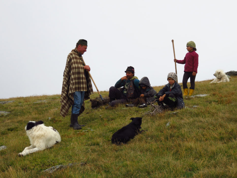 A shepherd family