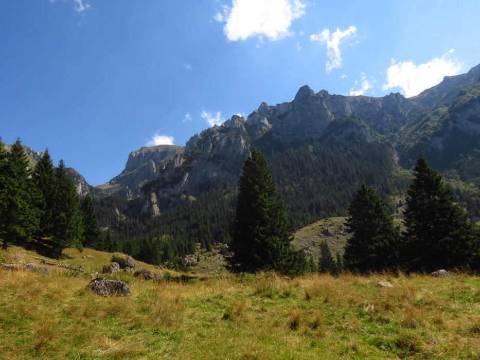 Descending to Bran