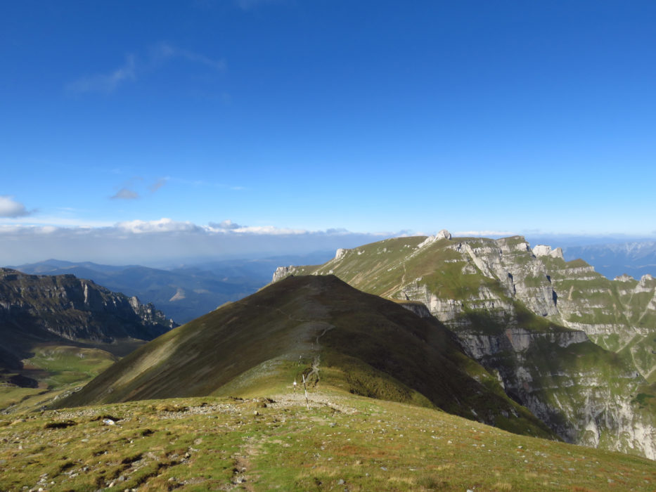 Gaura Valley