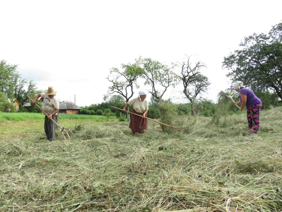 Haymaking