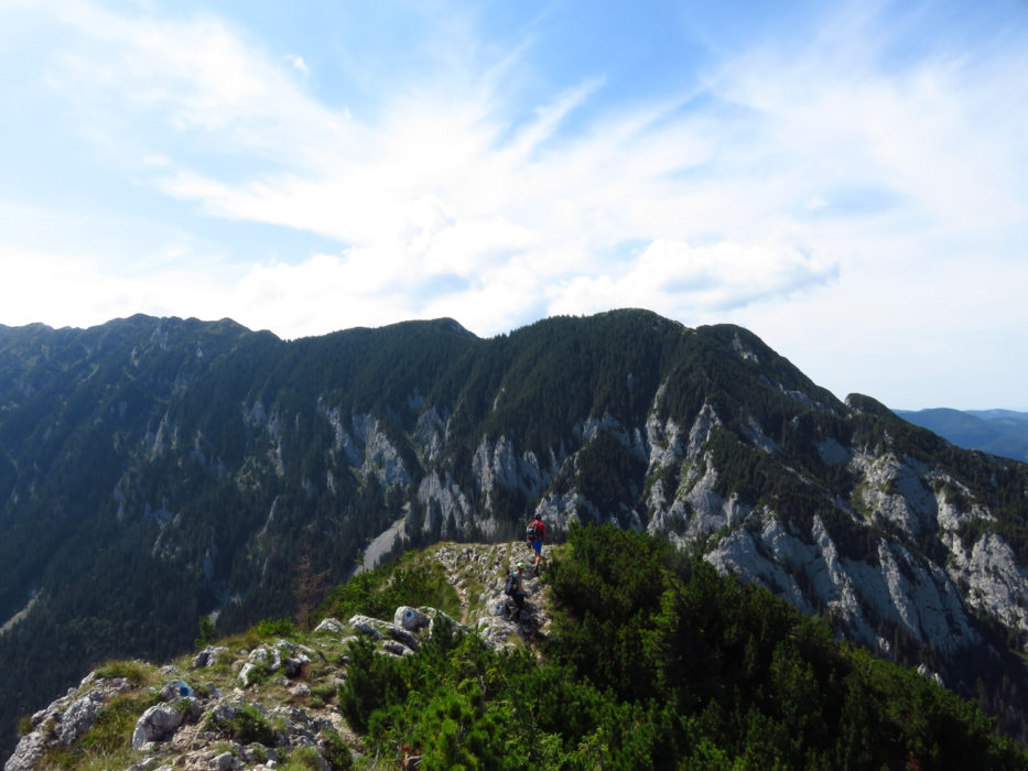 Piatra Craiului main ridge