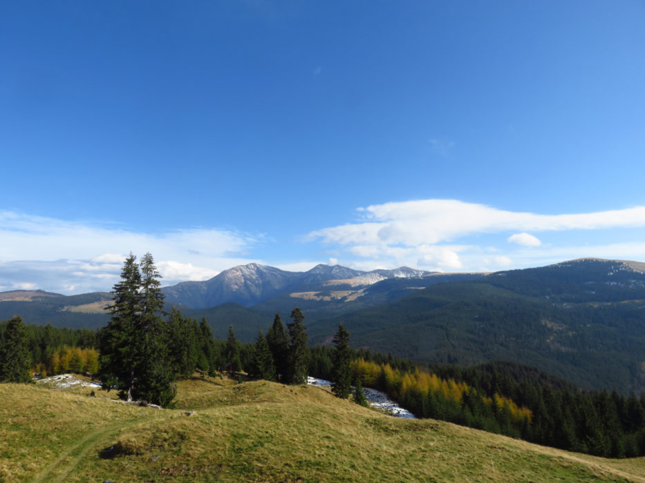 Pietrosul Peak