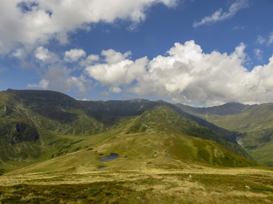 Zârna Valley