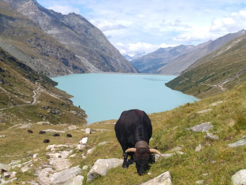 Mattmark lake