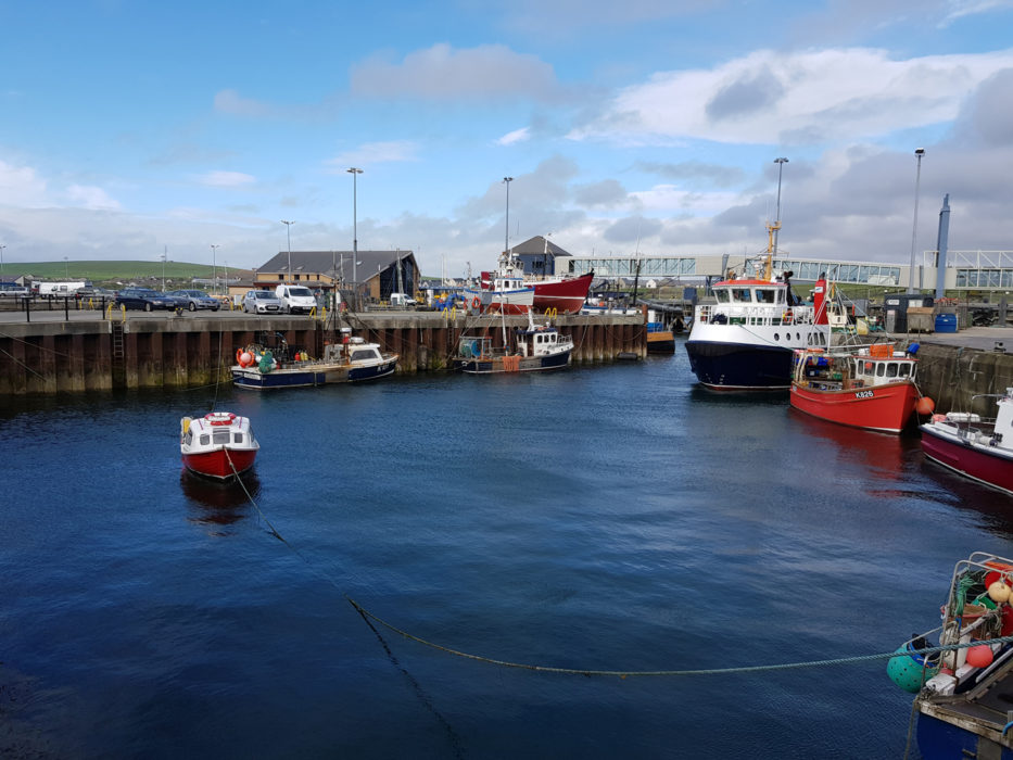 harbour