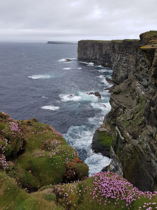 Marwick Head