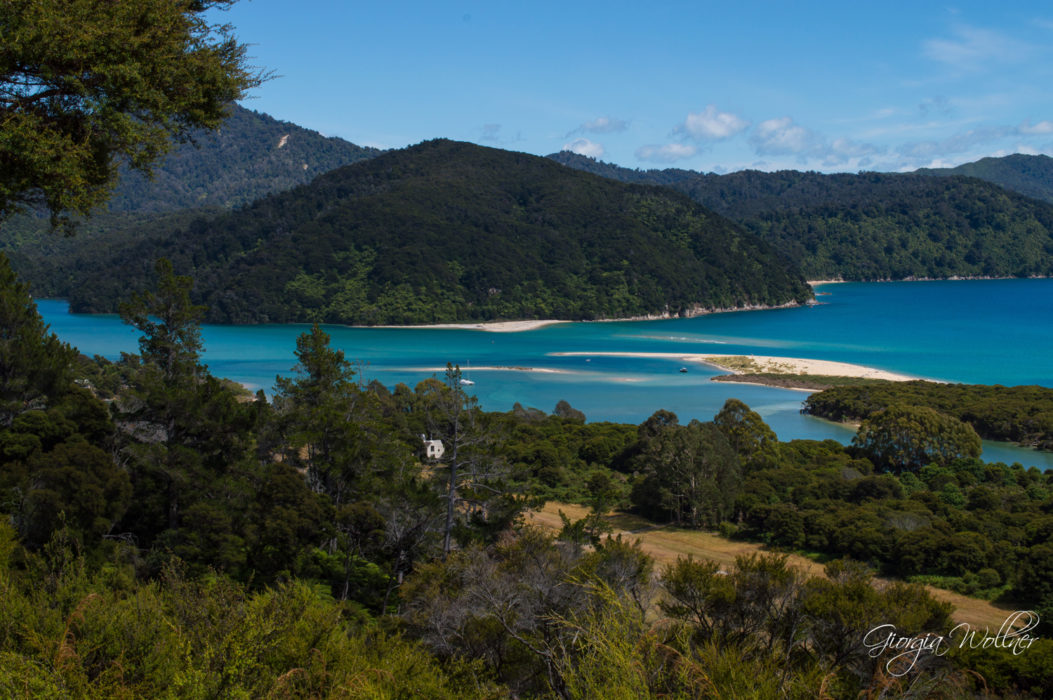 Awaroa View