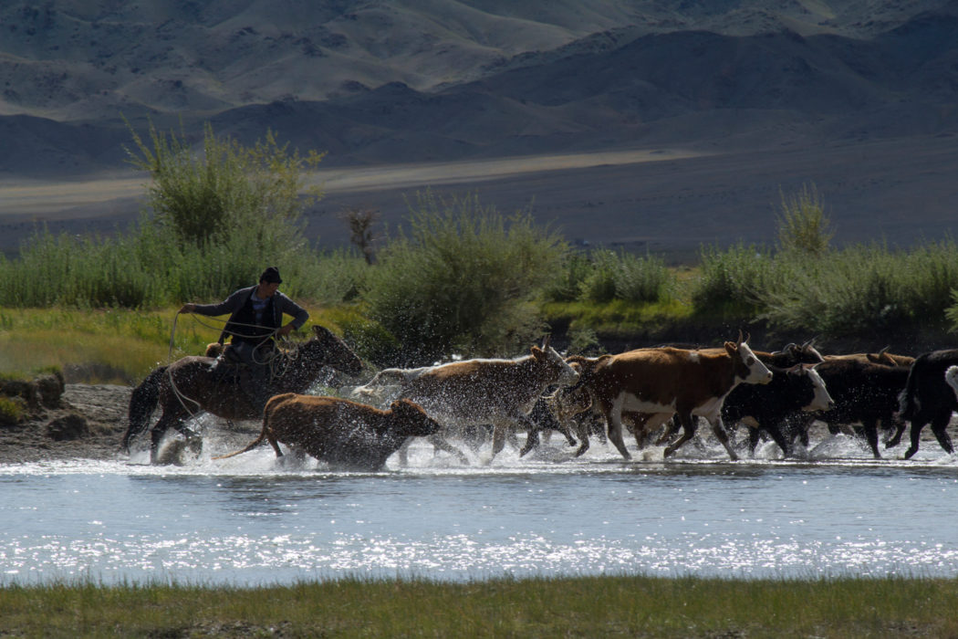 wild-west Mongolian