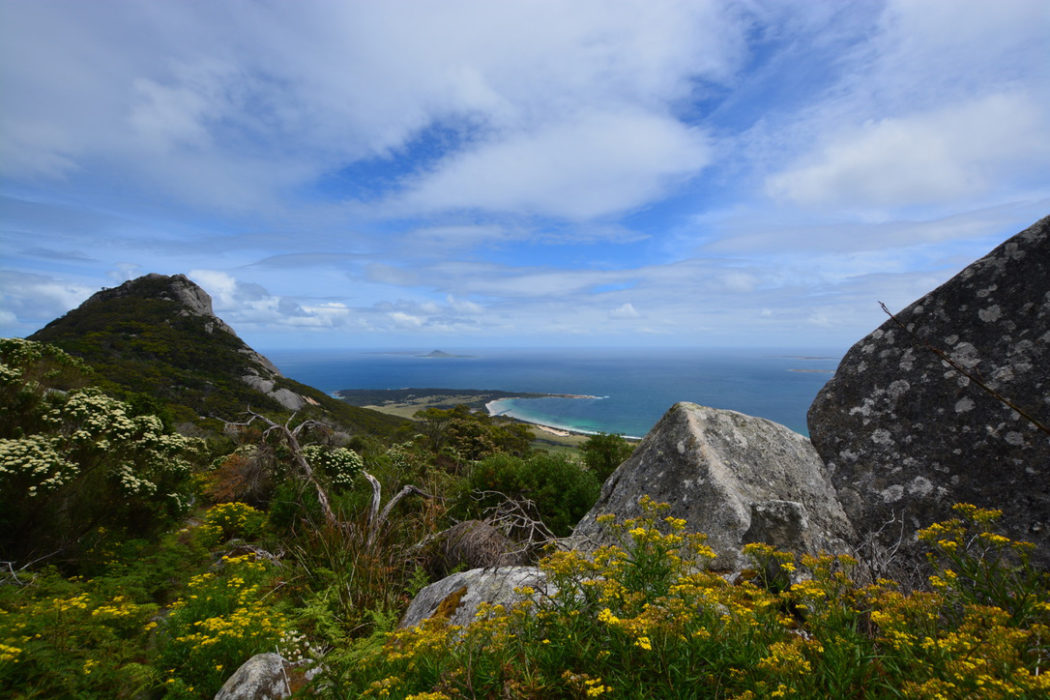 Mt Chapel Island