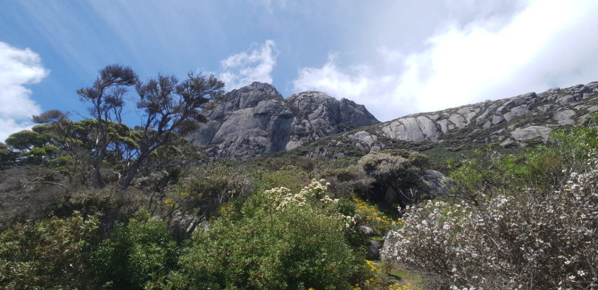 summit of Mt Strzelecki