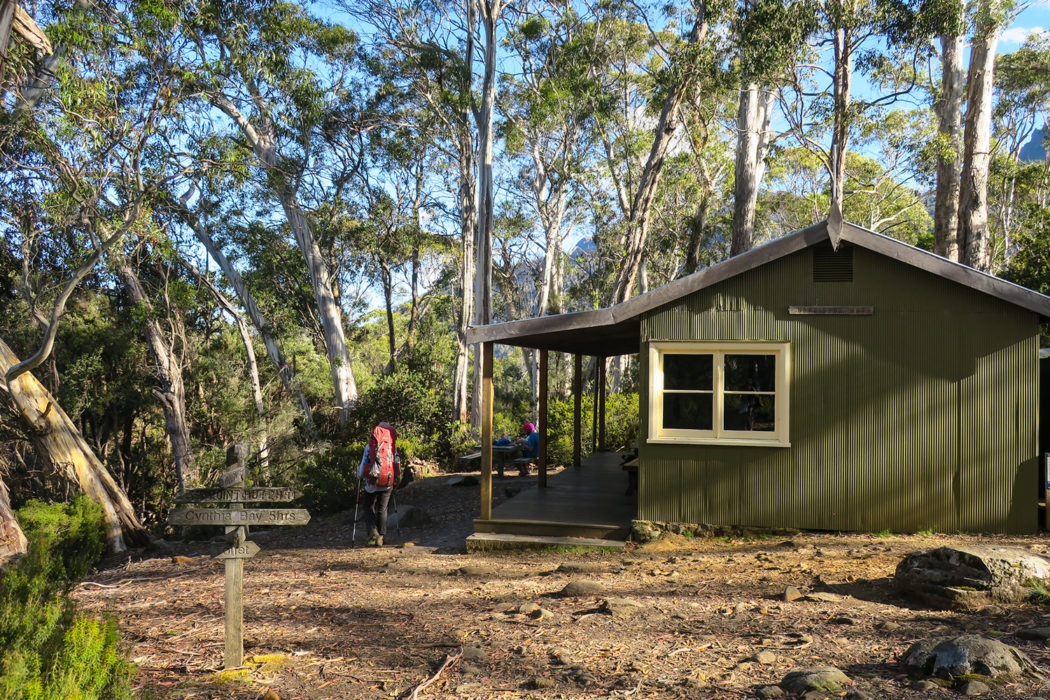 Narcissus Hut