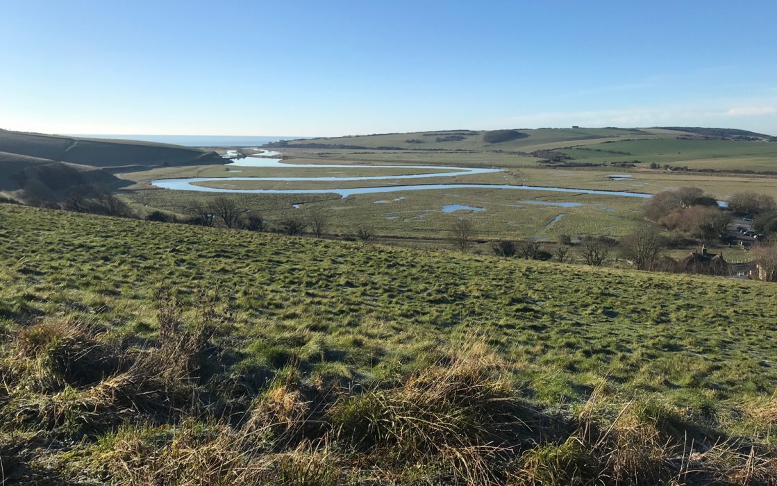 Friston Forest
